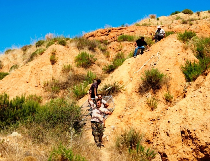 Crete: Operation to capture Sifis, the crocodile (photos)