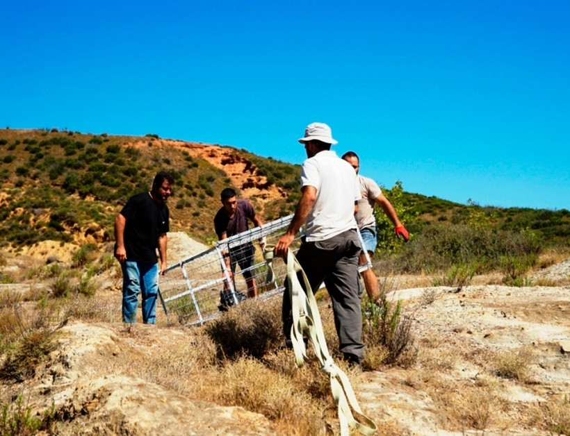 Crete: Operation to capture Sifis, the crocodile (photos)