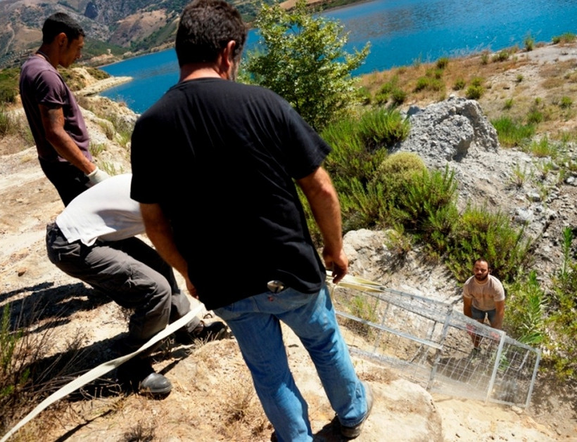 Crete: Operation to capture Sifis, the crocodile (photos)