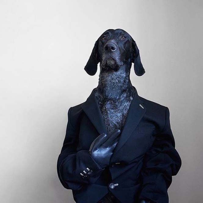 Δέκα απίστευτες φωτογραφίες με πρωταγωνιστή έναν σκύλο