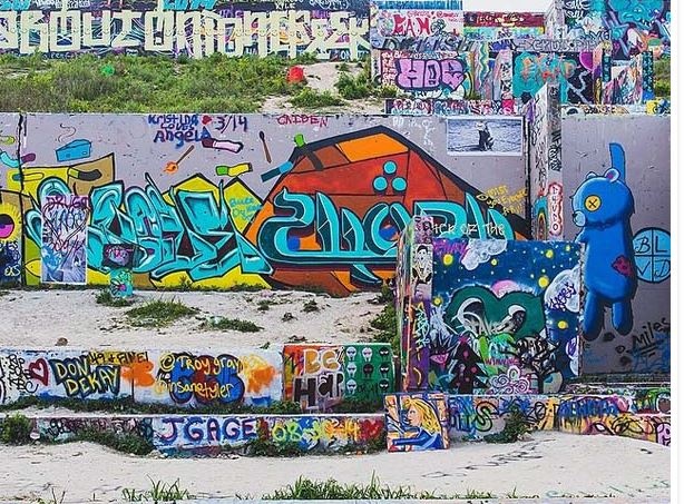 Μπορείτε να εντοπίσετε τον σκύλο στη φωτογραφία; (pic)