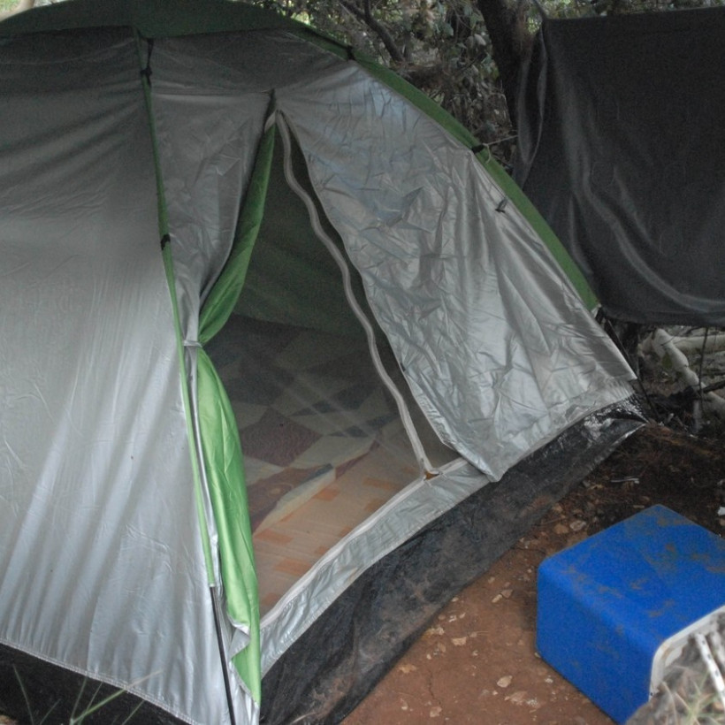 Εντοπίστηκε φυτεία κάνναβης στην «καρδιά» της Πάρνηθας (pics-vid)