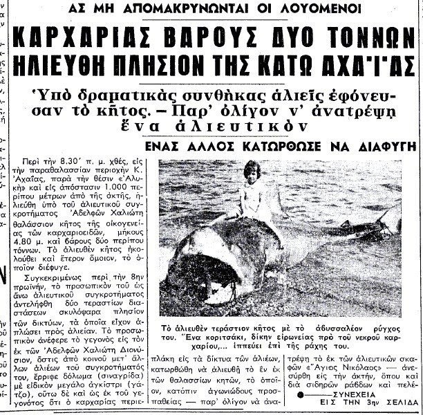 Επιθέσεις καρχαριών στην Ελλάδα