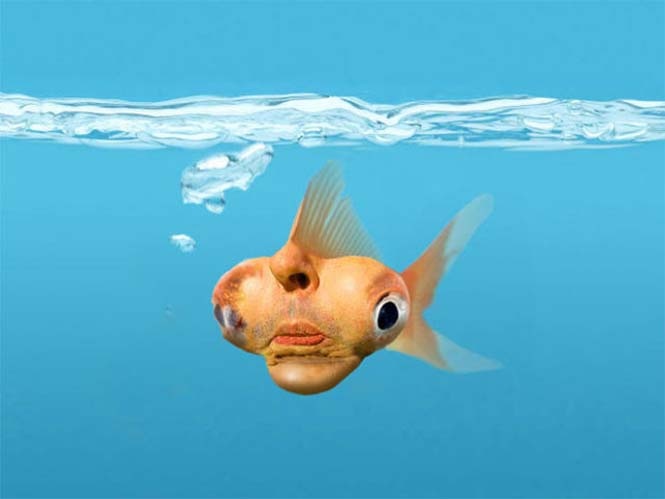 ΑΠΙΣΤΕΥΤΟ: Όλα ξεκίνησαν με αυτή τη φωτογραφία και μετά...