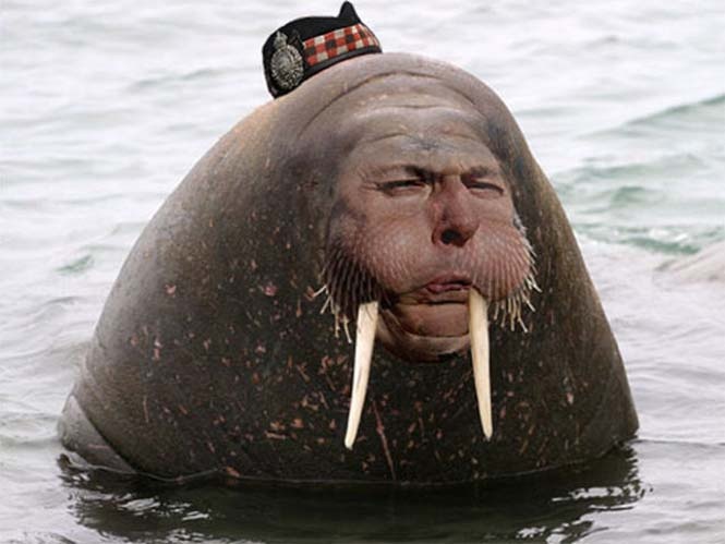 ΑΠΙΣΤΕΥΤΟ: Όλα ξεκίνησαν με αυτή τη φωτογραφία και μετά...