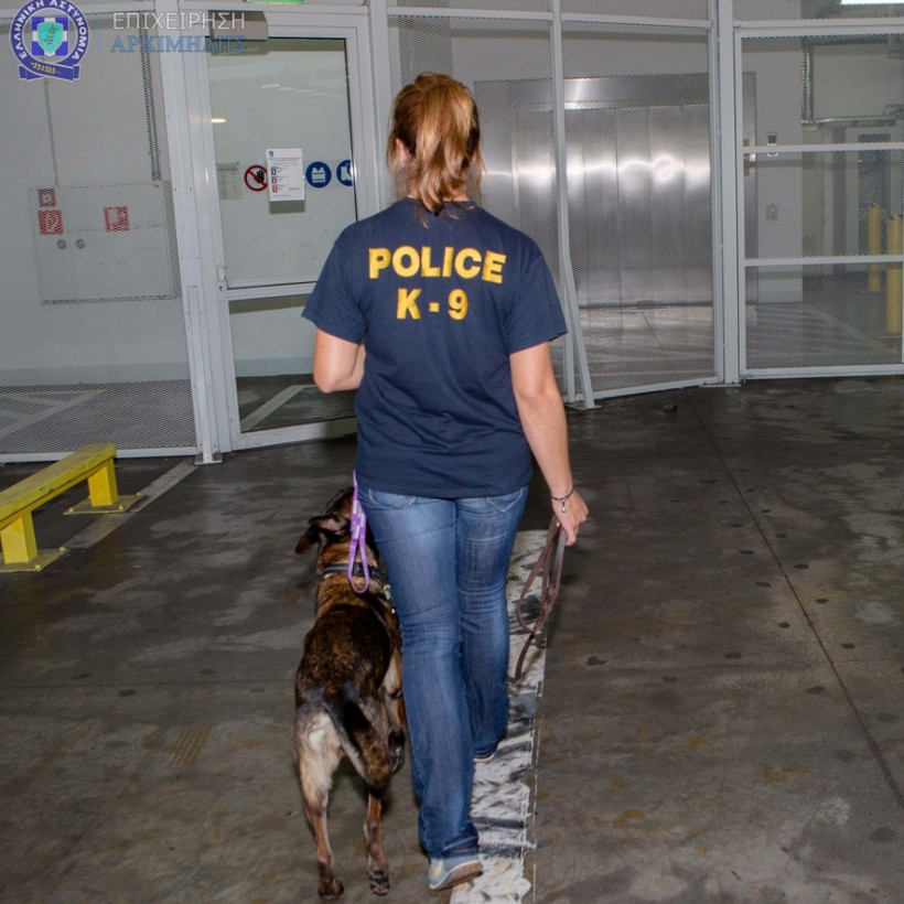 Μεγάλη επιχείρηση για την αντιμετώπιση δικτύων οργανωμένου εγκλήματος στην Ευρώπη (pics)