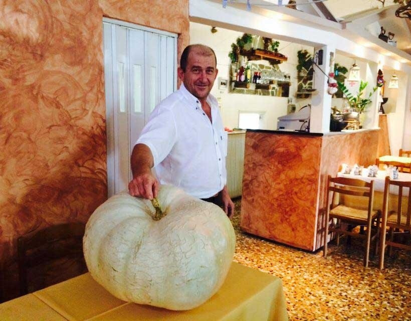 Τρίκαλα: Κολοκύθες γίγας... 40 κιλών (pics)