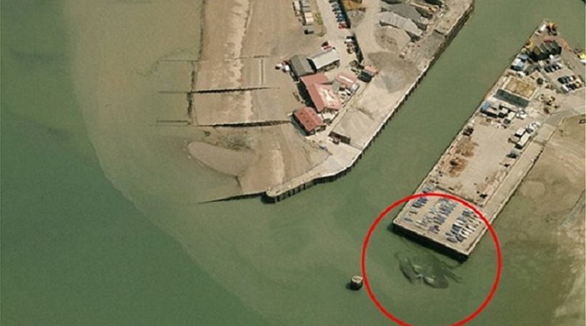 Βρετανία: Καβούρι γίγαντας σκορπά τον τρόμο (pics+vid)