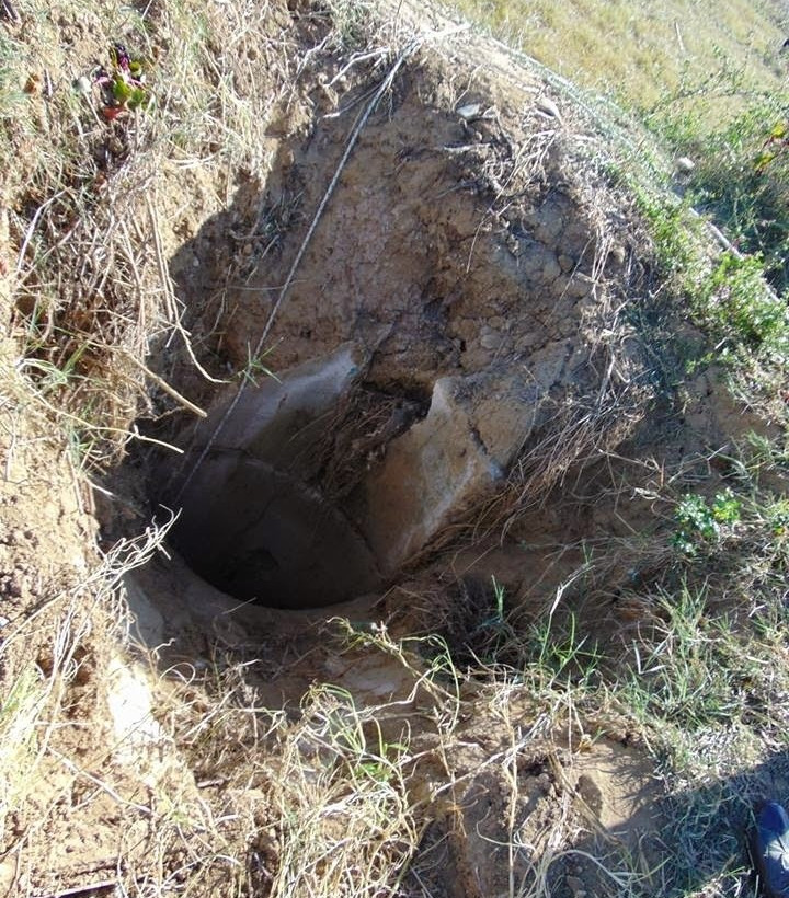 Κομοτηνή: Κουταβάκι έπεσε σε πηγάδι 7 μέτρων-Δείτε την επιχείρηση διάσωσης