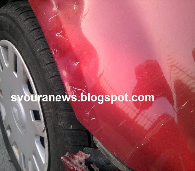 Καστοριά: Αρκουδάκι προκάλεσε υλικές ζημιές σε ΙΧ (pics)