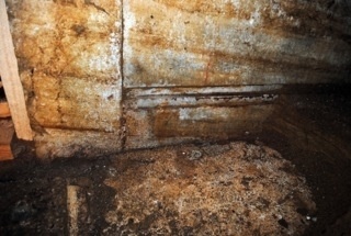 Αμφίπολη: Βρέθηκε το κεφάλι Σφίγγας και θραύσματα φτερών (pics)