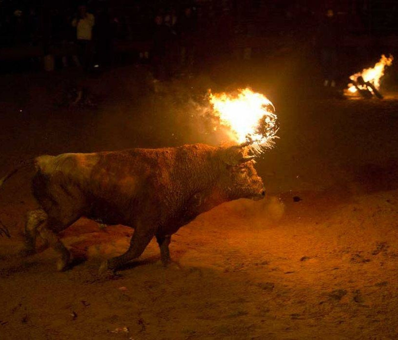 Ξεσηκωμός για το ισπανικό φεστιβάλ «Φλεγόμενου Ταύρου»