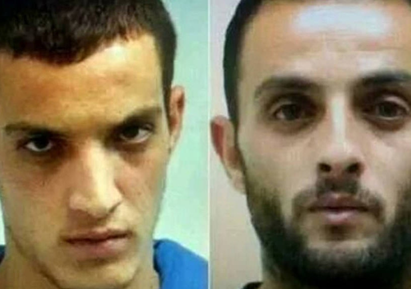 Με γλυκά και πυροτεχνήματα πανηγύρισαν το μακελειό στη Γάζα!