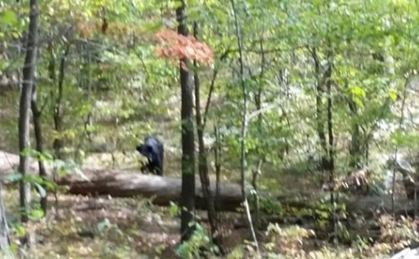 Τράβηξε τρεις φωτογραφίες τον... δολοφόνο του (photos)