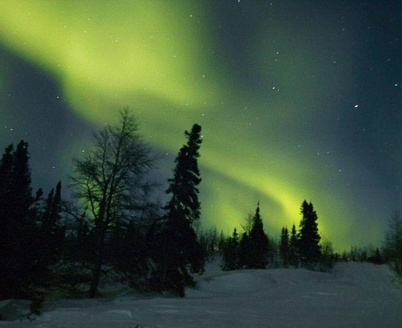 Παρατηρώντας πολικές αρκούδες στον Καναδά!
