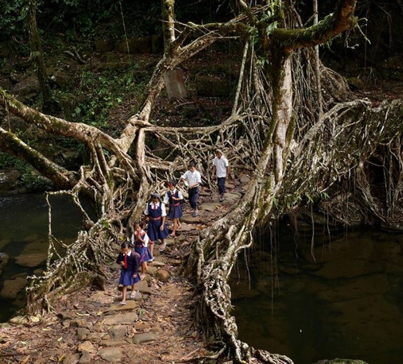 Ταξίδι μέσα από το δάσος - Ινδία