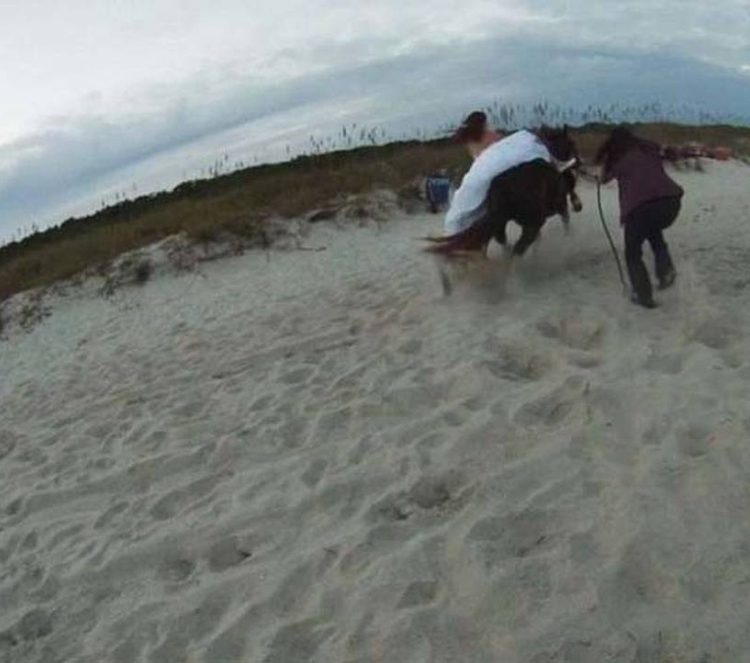 Η φωτογράφηση γάμου με άλογο είναι μια κακή ιδέα