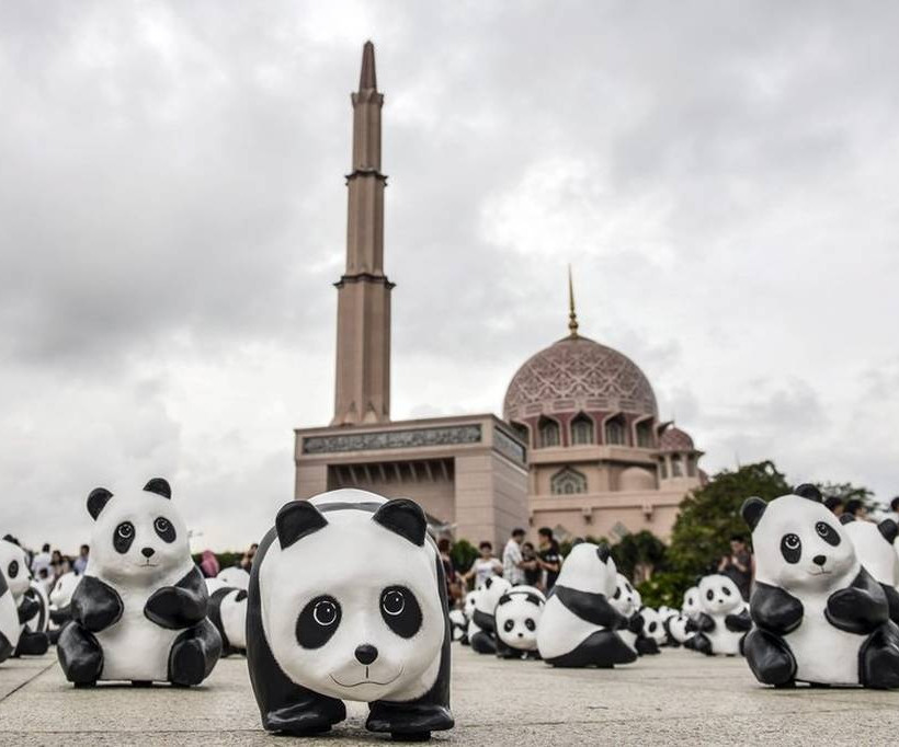 Γέμισαν Panda οι δρόμοι της Μαλαισίας