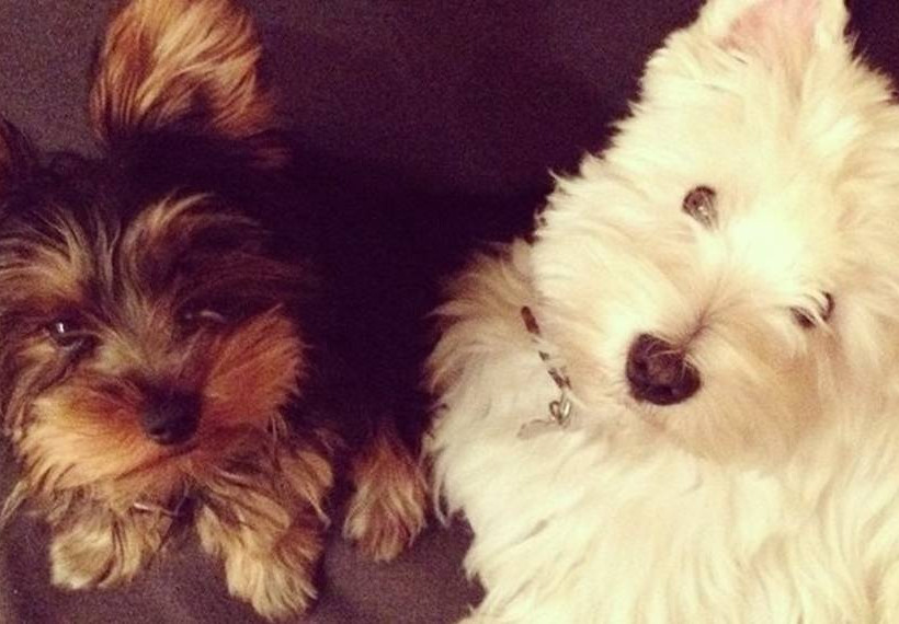 Ο Δένδιας γιόρτασε με τους... Ρήγκαν και Κλίντον! (pic)