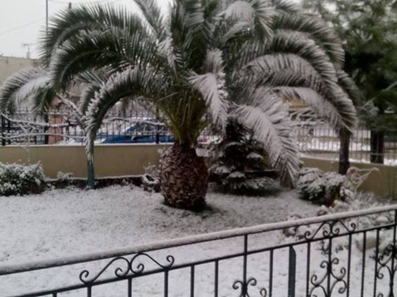 Τιθορέα-Φωτογραφίες από φίλους του Newsbomb.gr στο Facebook