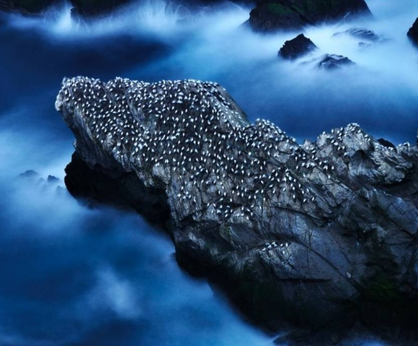 Ruth Asher/2014 BWPA