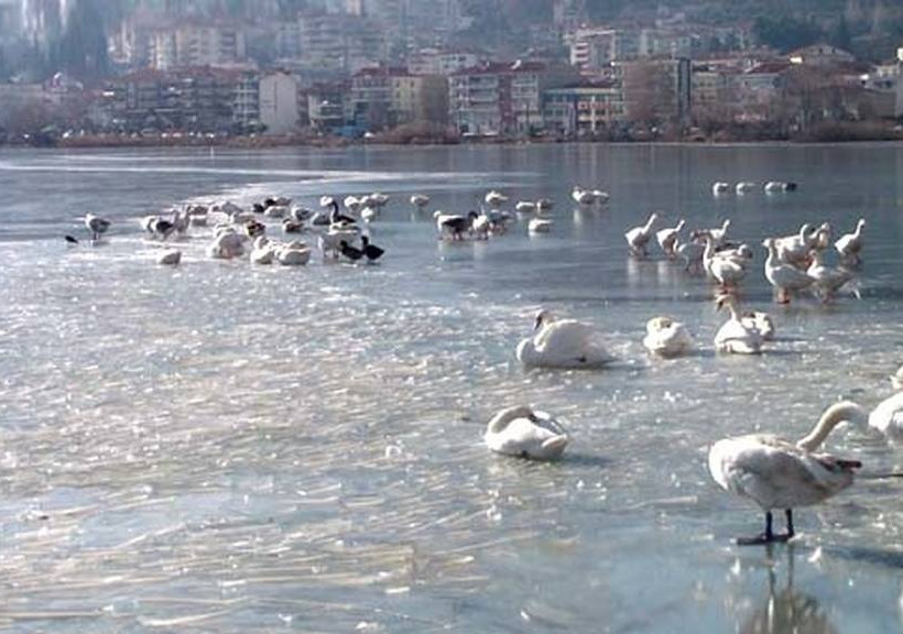  Πατινάζ στη λίμνη της Καστοριάς (Pics&Vid)