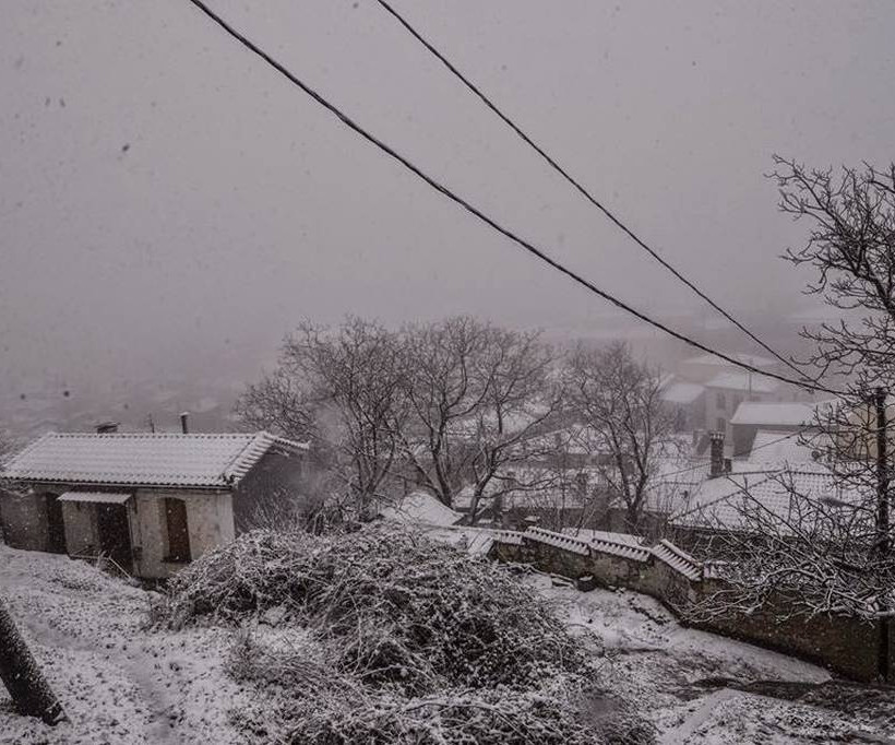 Πυκνή χιονόπτωση σε Ροδόπη και Έβρο (pics)