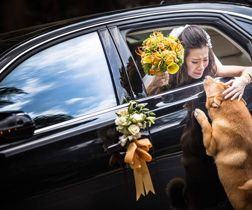 Αυτές είναι οι καλύτερες γαμήλιες φωτογραφίες του 2014