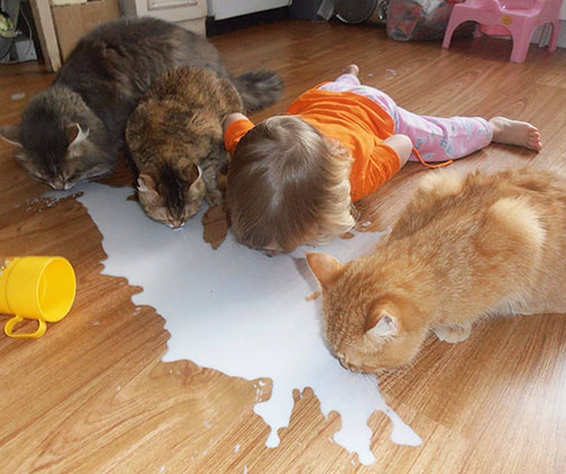 Παιδιά και κατοικίδια,μερικές φορές είναι μπέρδεμα (photos)