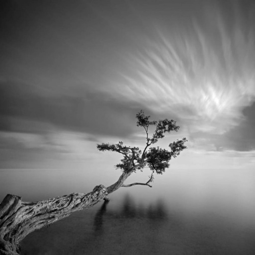 Σκηνικό σε άσπρο μαύρο (photos)