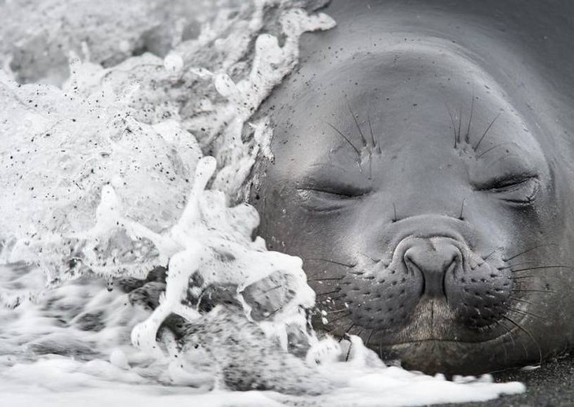 Οι φιναλίστ στο διαγωνισμό Smithsonian (photos)