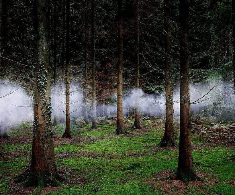 Οι φιναλίστ στο διαγωνισμό Smithsonian (photos)
