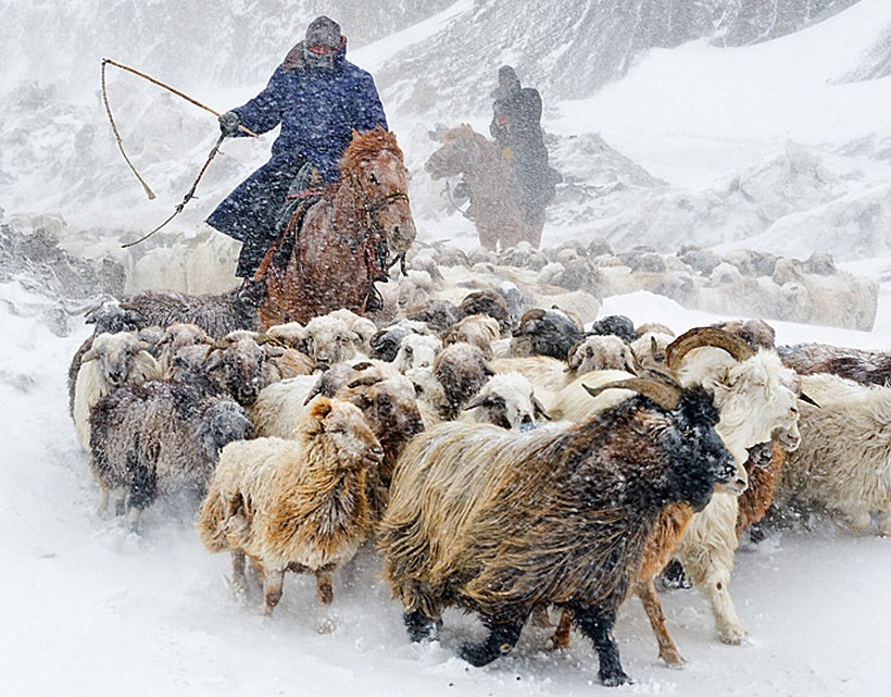 Ο Θαυμαστός Κόσμος των ζώων (photos)