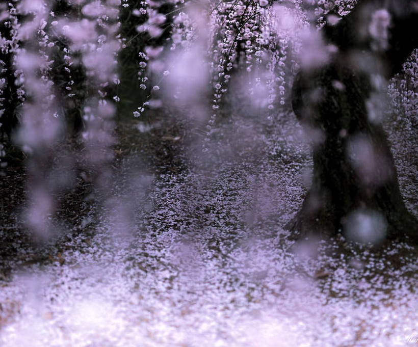 Τοπία γεμάτα συναίσθημα (photos)