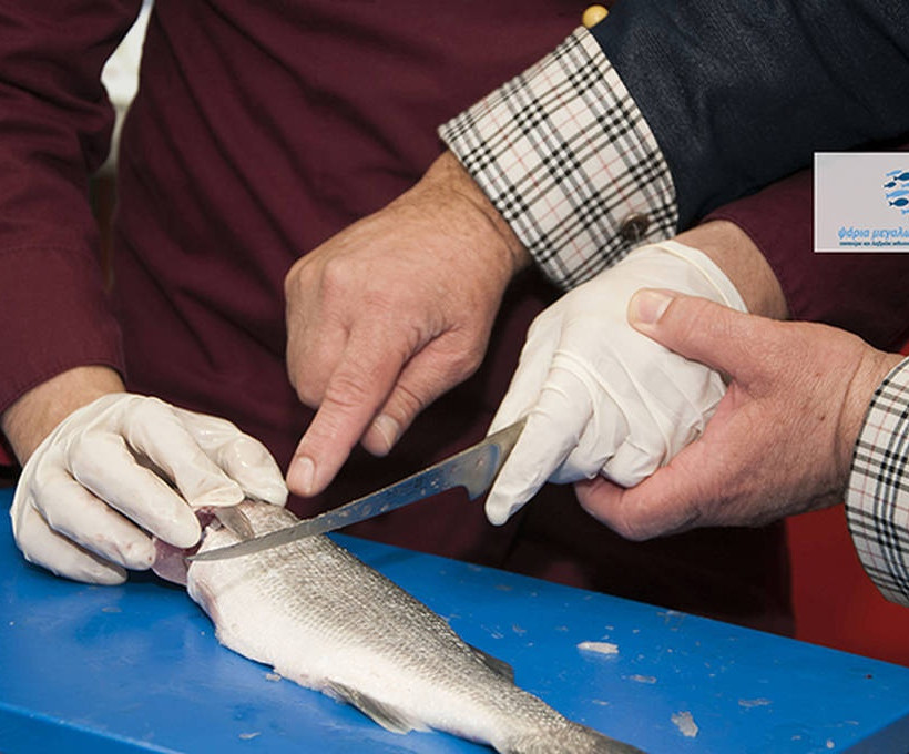 Ο Λευτέρης Λαζάρου μαγειρεύει στο ΙΕΚ ΑΚΜΗ... . ψάρια μεγαλωμένα με φροντίδα (Photos)