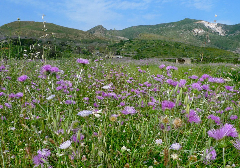 Μεγαλοβδόμαδο στη Ζάκυνθο (video+photos)