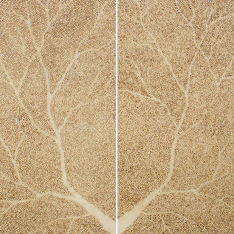 Έργα τέχνης πάνω σε ριζόχαρτο! (Photos)