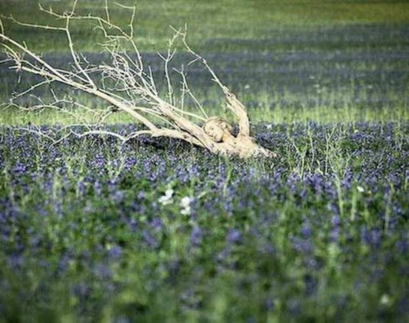 Μπορείτε να εντοπίσετε τους ανθρώπους που κρύβονται στη φύση; (photos)
