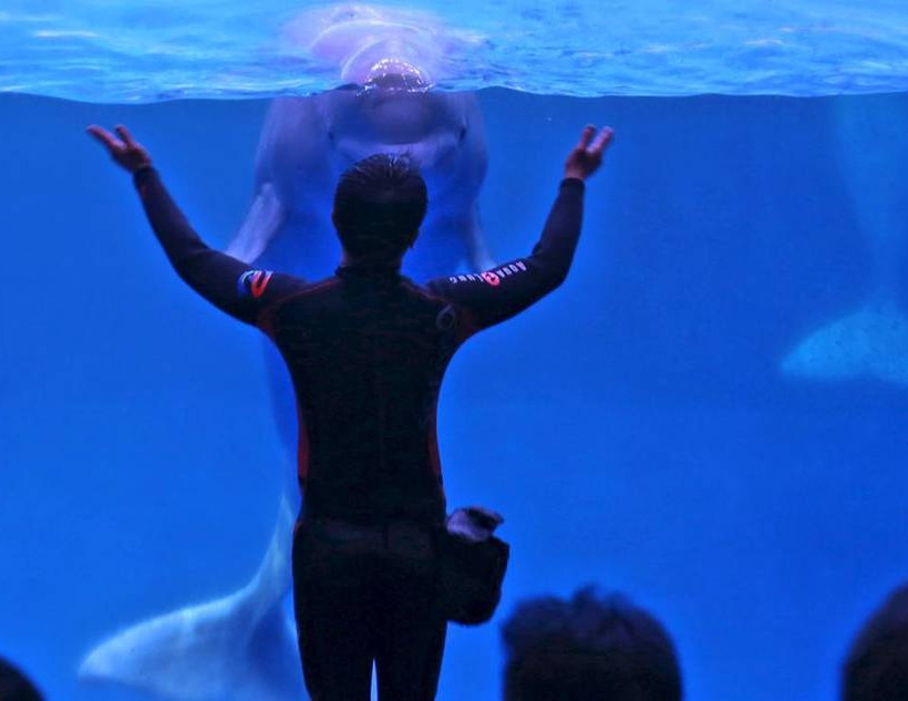 Άνθρωποι και ζώα, μια σχέση που κρατά χρόνια (photos)