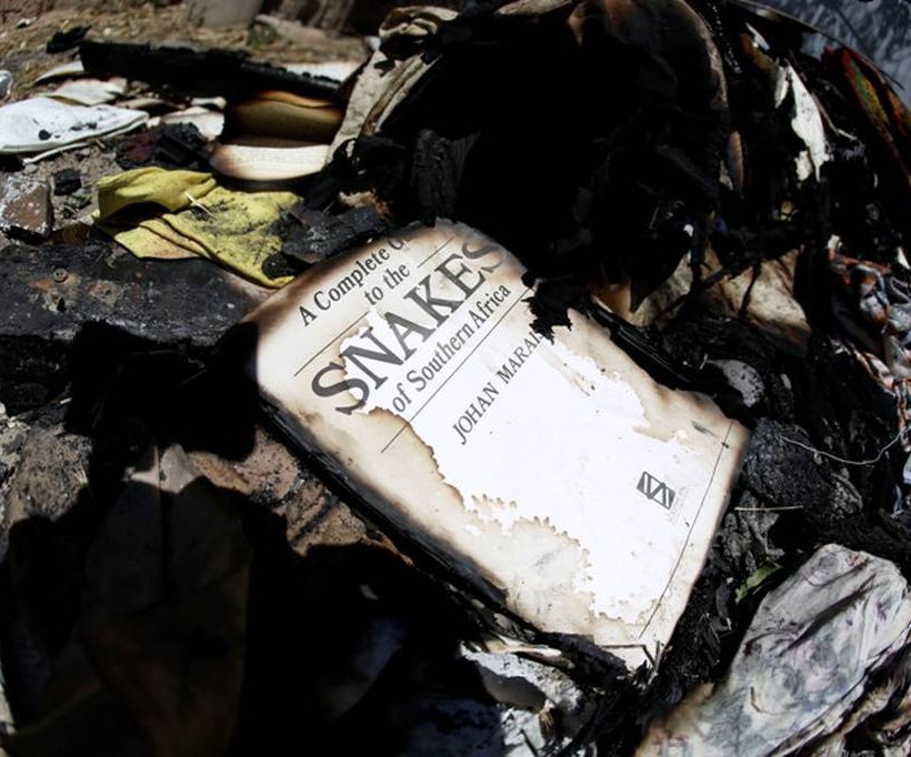 Φωτιά – Καρέας: Στάχτη κι αποκαϊδια άφησε πίσω της η πυρκαγιά (photos)  