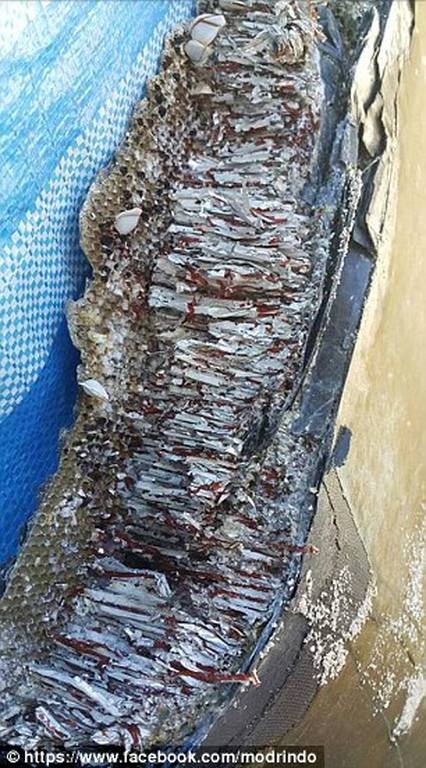 Νέο θρίλερ: Βρέθηκαν στις Μαλδίβες συντρίμμια του μοιραίου μαλαισιανού αεροσκάφους; (pics+vid)