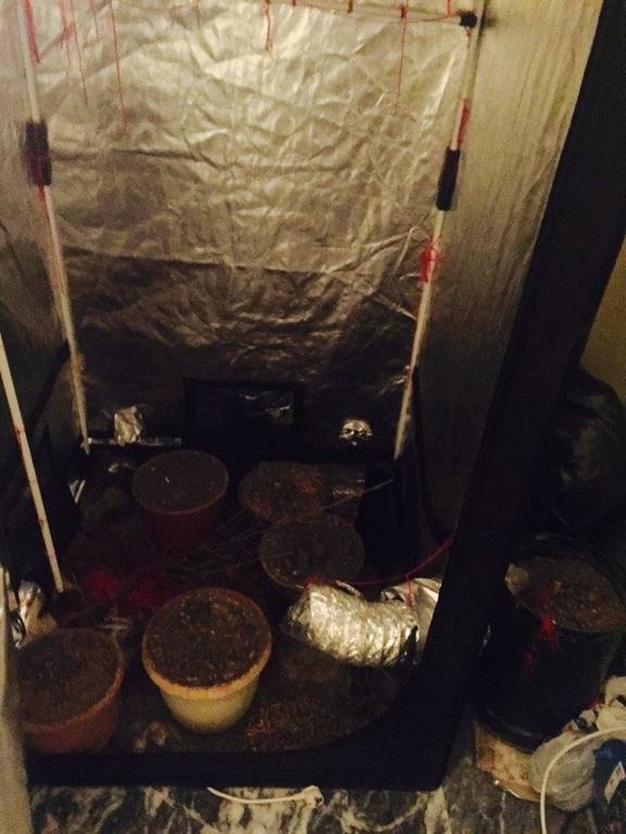 Χαλκίδα: Εντοπίστηκε φυτεία κάνναβης σε οικοδομή - Συνελήφθησαν οι καλλιεργητές (photos)