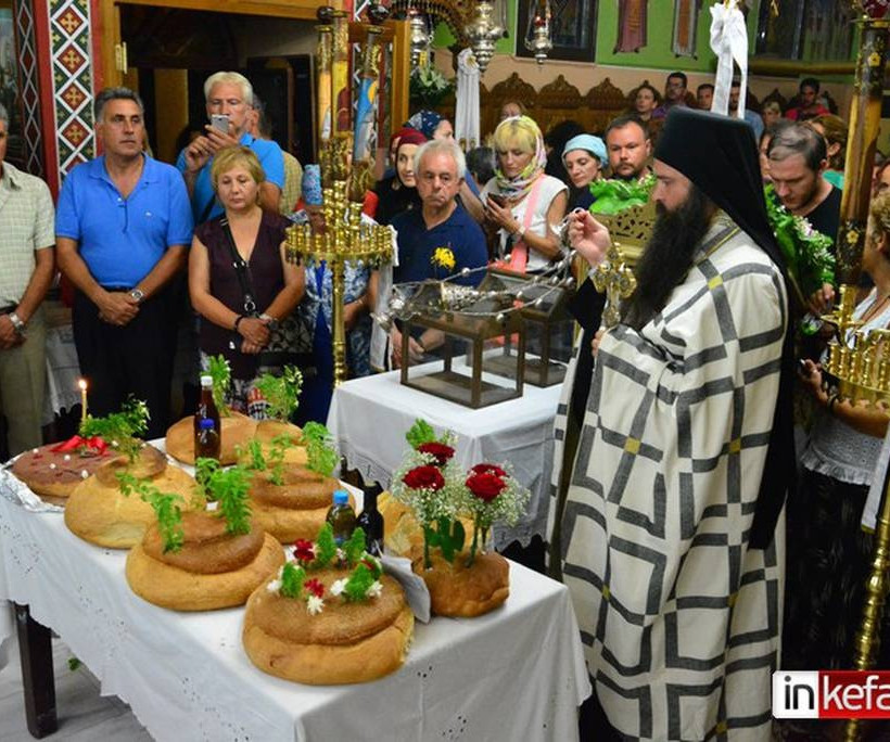 Εμφανίστηκαν και φέτος τα φιδάκια της Παναγίας στην Κεφαλονιά (photos&video)