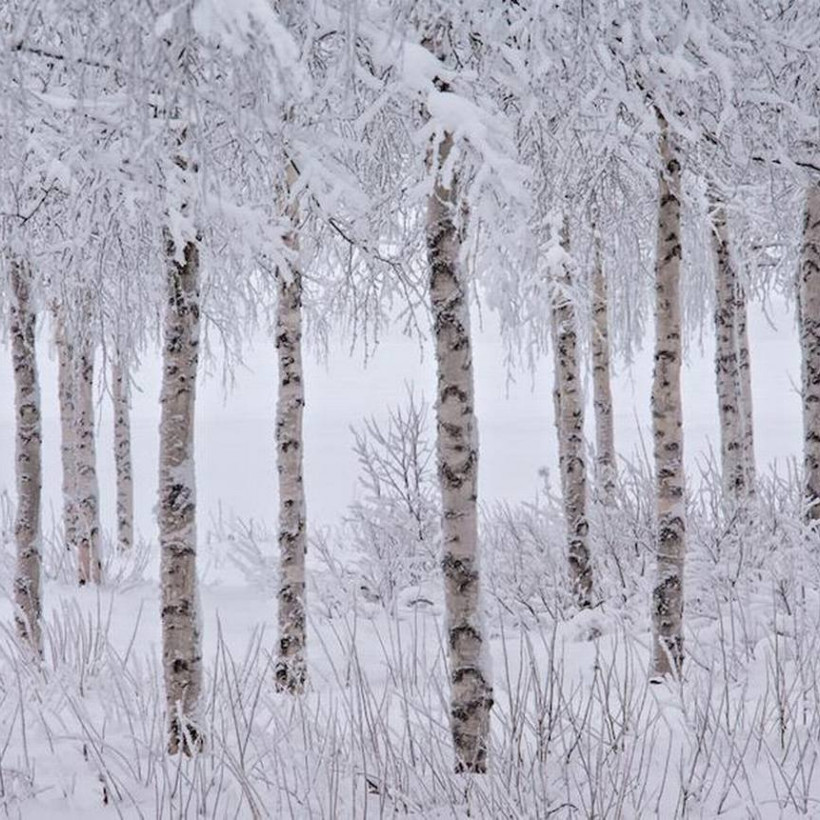 Οι κορυφαίες φωτογραφίες τοπίων της χρονιάς!