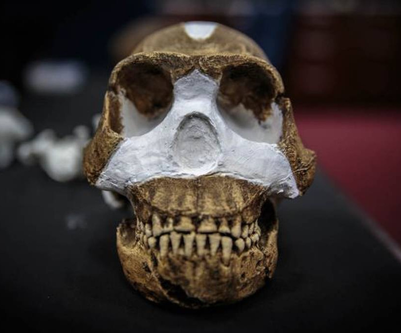 Homo naledi: Ανακάλυψαν νέο είδος ανθρώπου (photos)