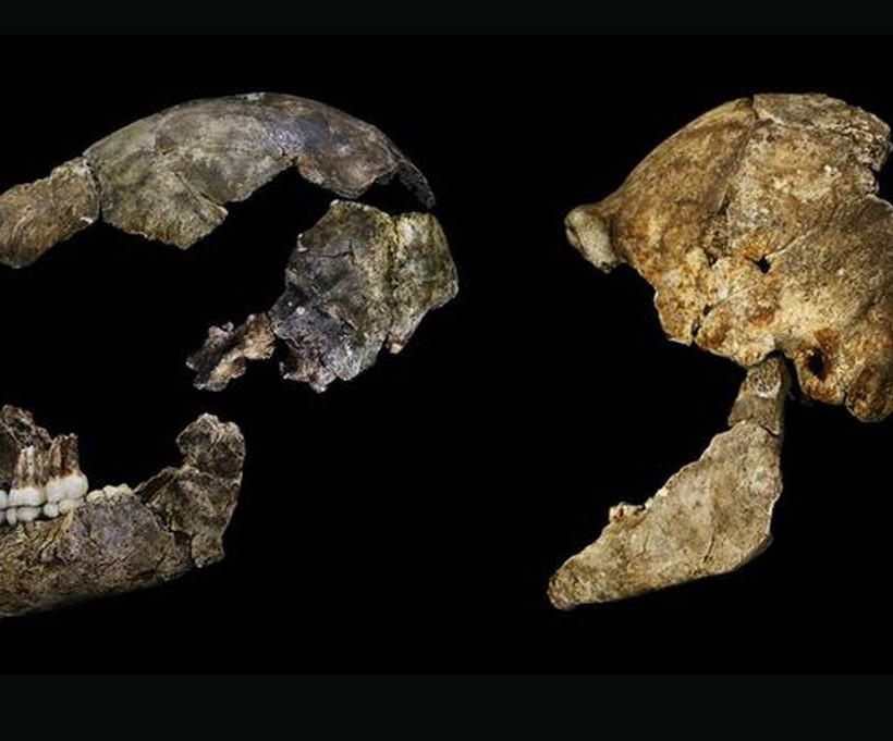 Homo naledi: Ανακάλυψαν νέο είδος ανθρώπου (photos)