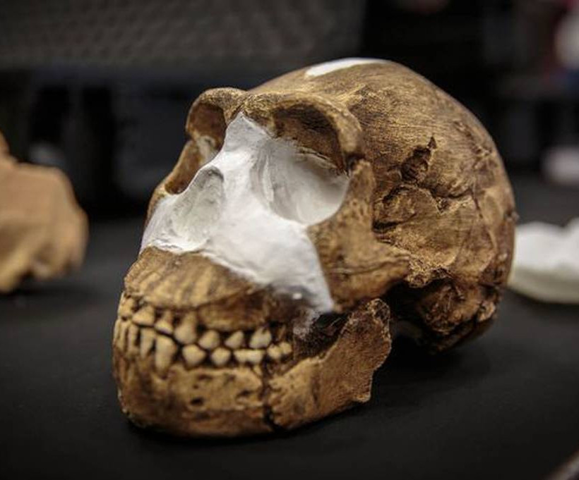 Homo naledi: Ανακάλυψαν νέο είδος ανθρώπου (photos)