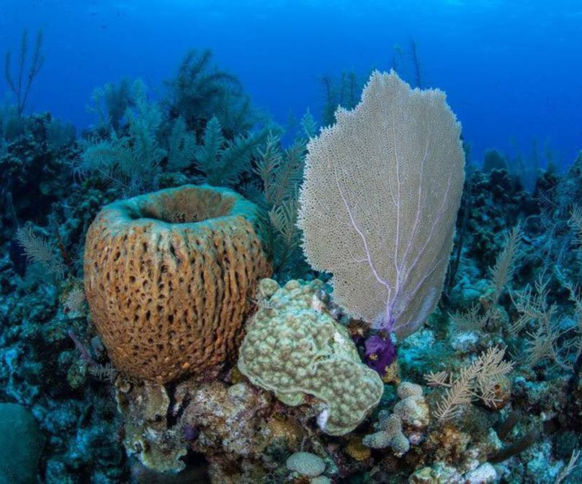 Ένας... παράδεισος χτισμένος στη μέση της θάλασσας (photos)