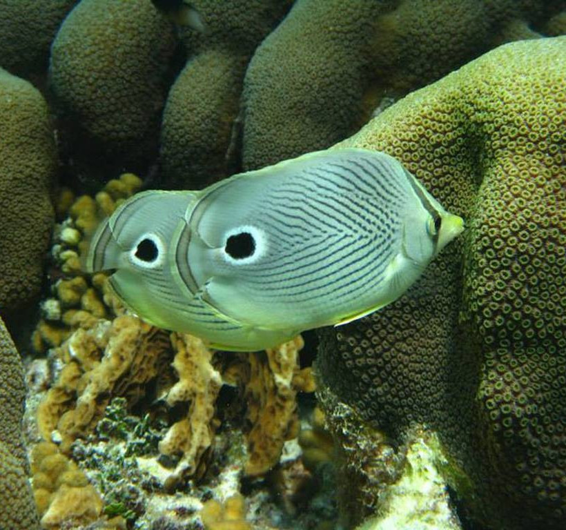 Ένας... παράδεισος χτισμένος στη μέση της θάλασσας (photos)