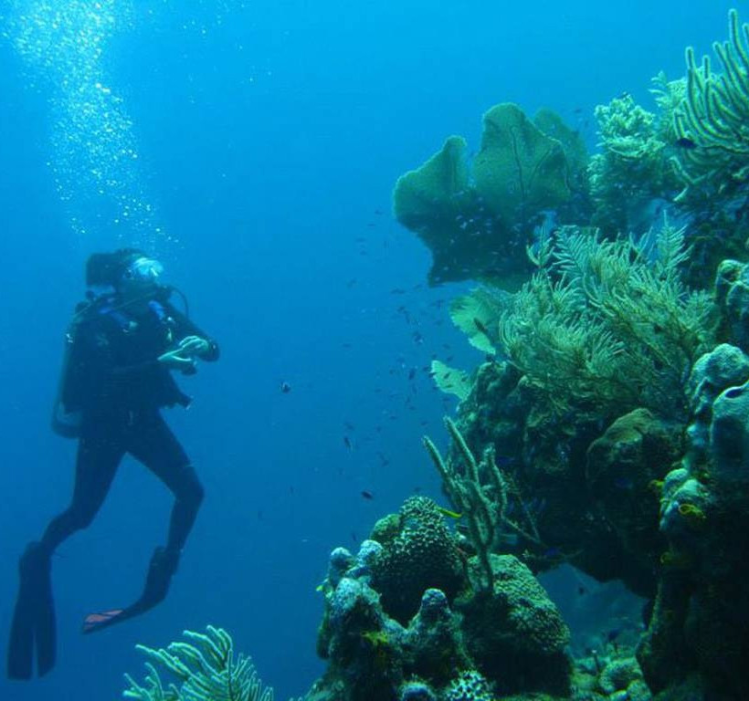 Ένας... παράδεισος χτισμένος στη μέση της θάλασσας (photos)